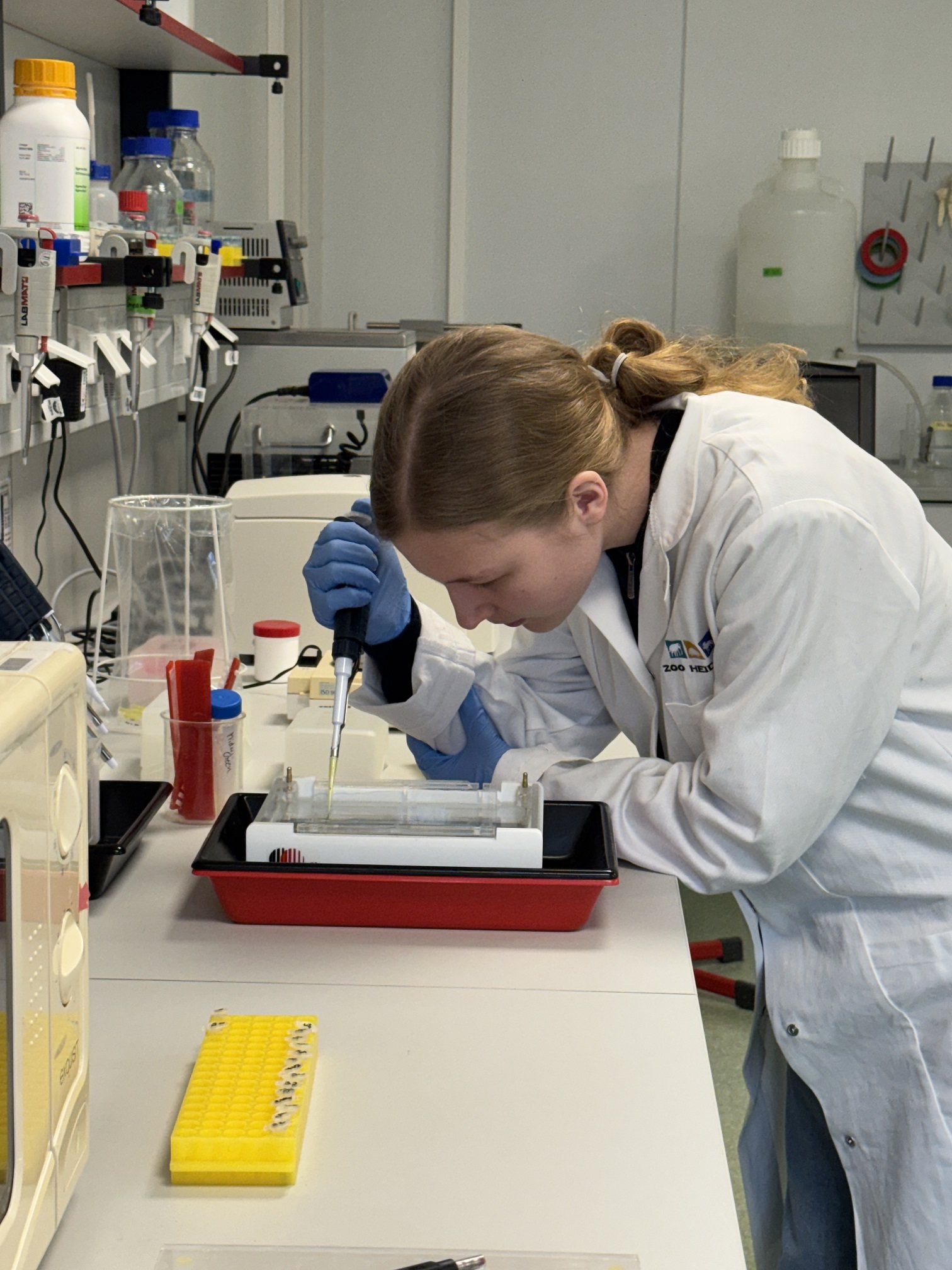 Schülerin befüllt die Geltaschen